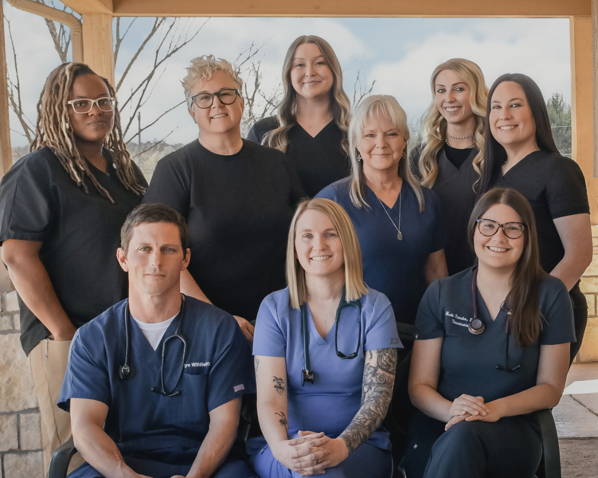 Veterinarian in Choctaw, OK